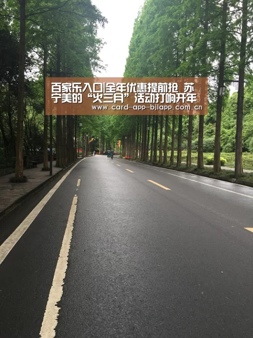 百家乐入口
