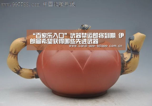 “百家乐入口”武器禁运即将到期 伊朗最希望获得哪些先进武器(图4) 百家乐入口