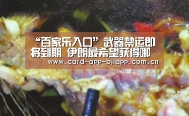 “百家乐入口”武器禁运即将到期 伊朗最希望获得哪些先进武器(图3) 百家乐入口