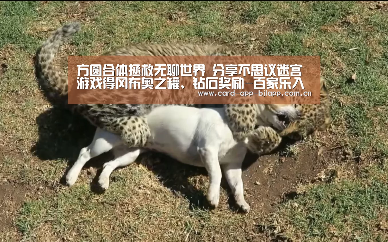 方圆合体拯救无聊世界 分享不思议迷宫游戏得冈布奥之罐、钻石奖励-百家乐入口(图2) 百家乐入口