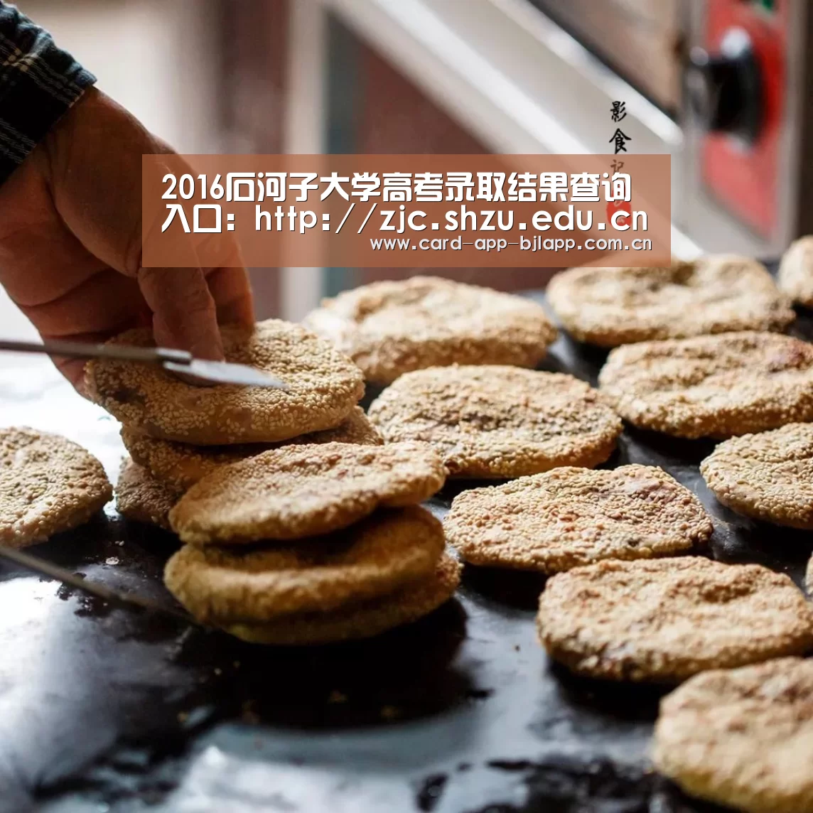 2016石河子大学高考录取结果查询入口:http://zjc.shzu.edu.cn/list.asp?typeid=1“百家乐入口”(图2) 百家乐入口